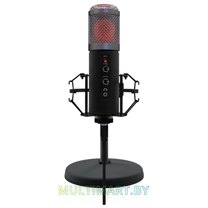 Микрофон Ritmix RDM-260 USB Eloquence